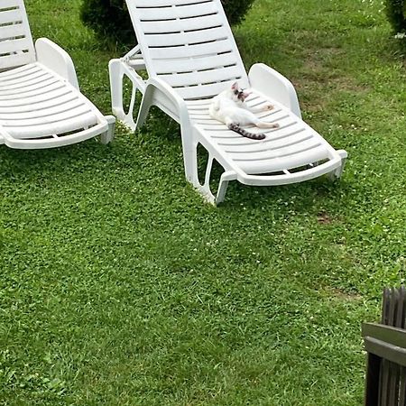 Guesthouse Magdalena ラコヴィツァ エクステリア 写真