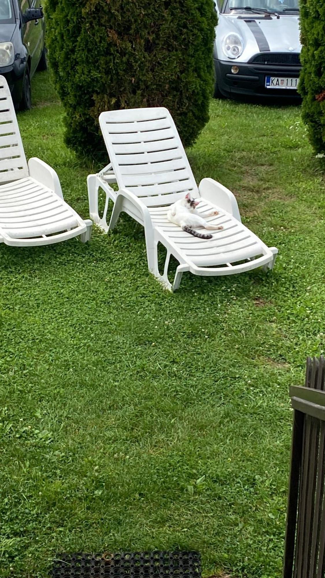 Guesthouse Magdalena ラコヴィツァ エクステリア 写真